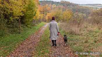 Achtung im Herbst: Kastanien, Nüsse und Eicheln sind gefährlich für Hunde
