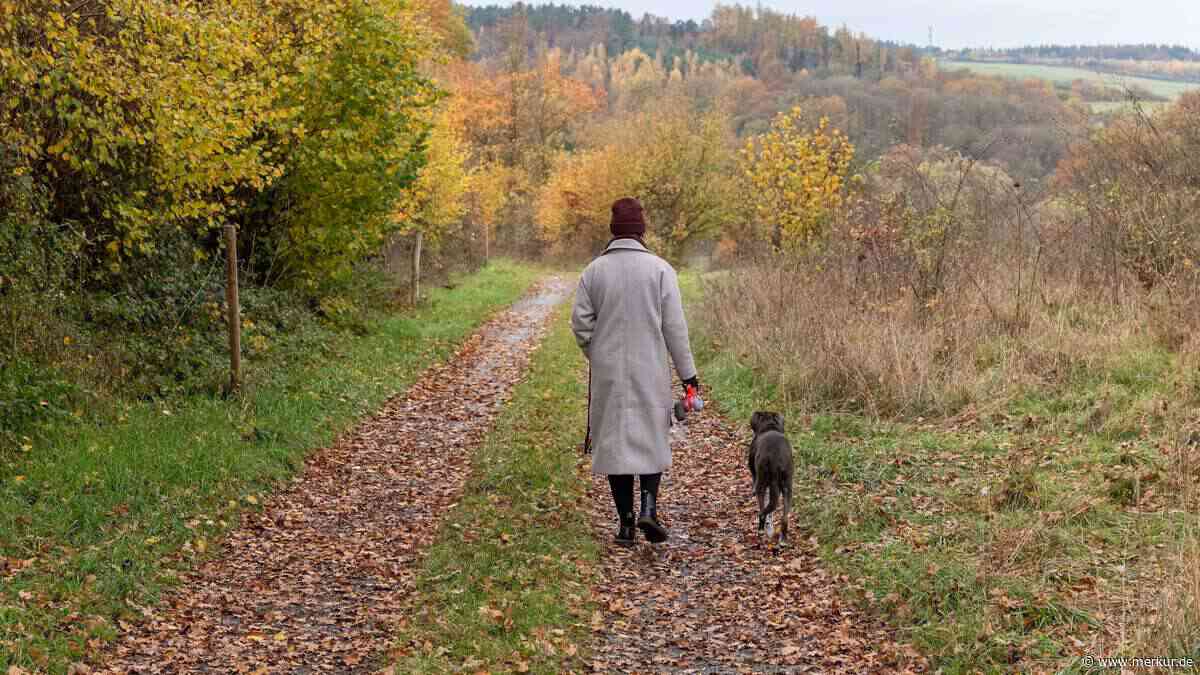 Achtung im Herbst: Kastanien, Nüsse und Eicheln sind gefährlich für Hunde