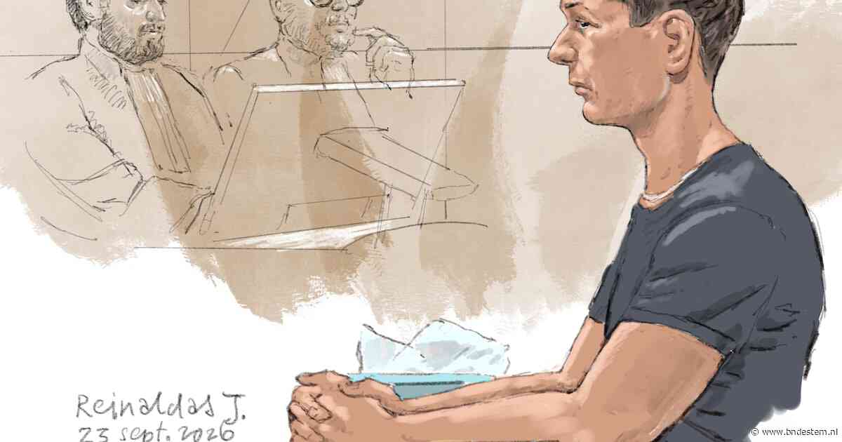 Reinaldas J. rijdt drie kinderen dood en mag de cel verlaten, hoe kan dat?