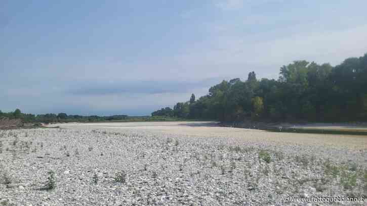 L’Isonzo è senz’acqua, il fiume della Grande Guerra rischia di morire. Italia e Slovenia riunite per deciderne la sorte: “D’estate resta solo un rigagnolo”