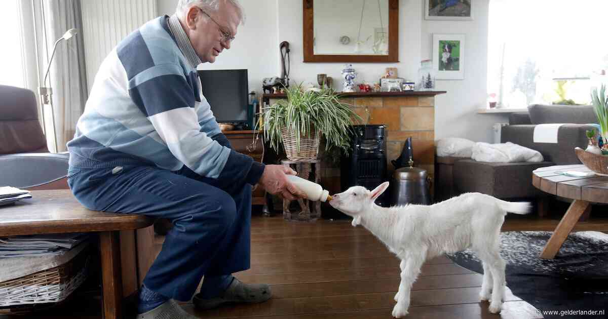 Is jouw huisdier eigenlijk gewoon familie? Deel je verhaal