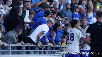 Cardiff City star charged by FA as police announce Portsmouth investigation verdict