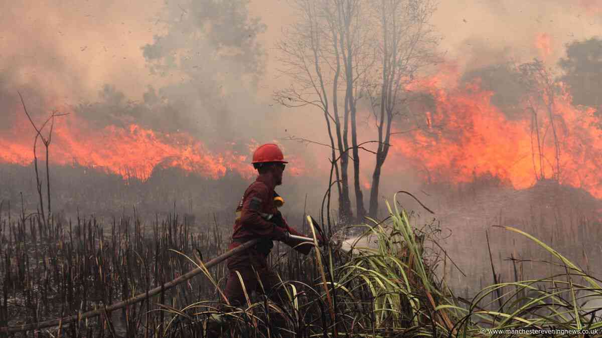 Experts warn 'dangerous' El Niño could lead to half a million more deaths worldwide