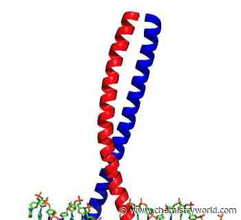 Screening therapeutic peptides for ‘undruggable’ proteins