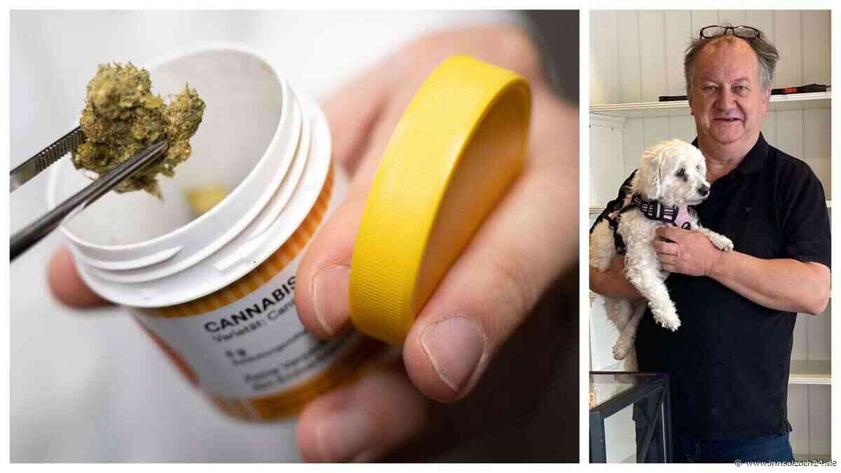 Kassen bezahlen Cannabis-Therapie nicht mehr – Hanfladen Mühldorf sammelt Unterschriften