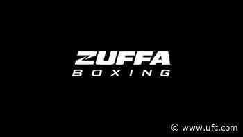 Updates To Zuffa Boxing 11