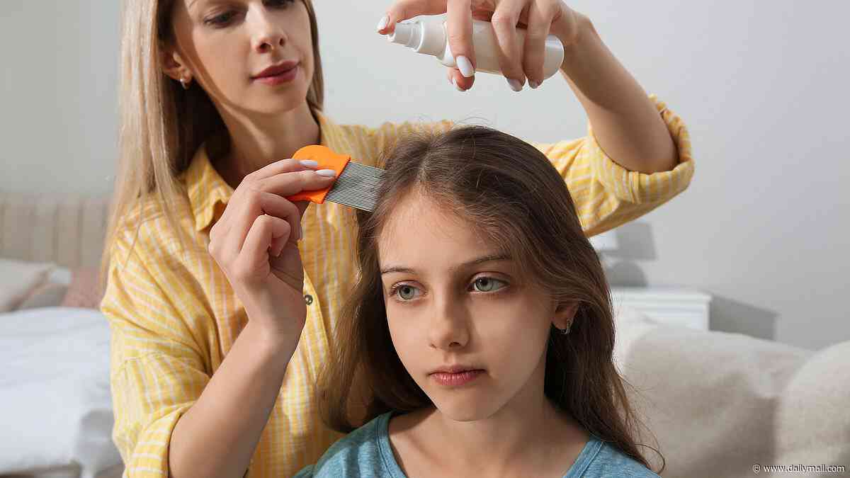 Popular head lice treatment contains chemical scientists say could increase breast cancer risk