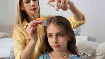 Popular head lice treatment contains chemical scientists say could increase breast cancer risk