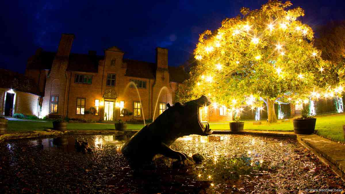 Kent wildlife park announces new unique overnight stay with Christmas light trail