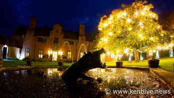 Kent wildlife park announces new unique overnight stay with Christmas light trail
