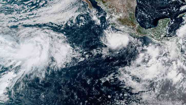El Niño non si ferma, fino a febbraio mezzo milione di morti in più per il caldo: “Una cartolina del futuro”