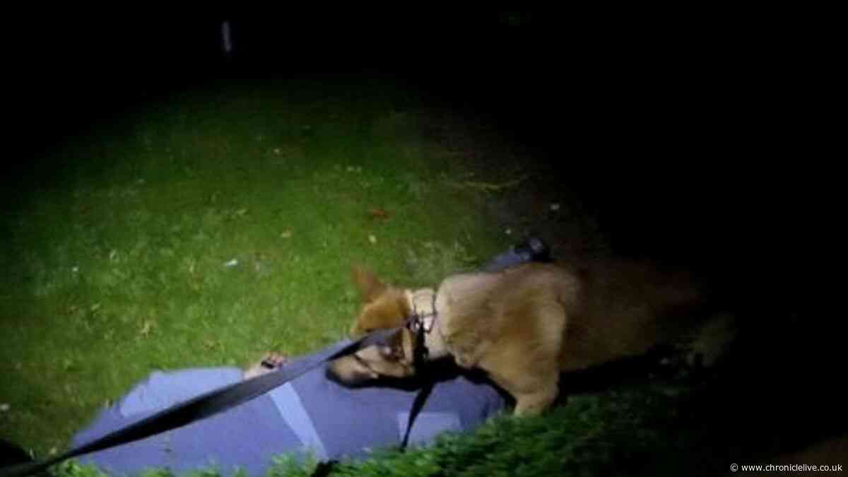 Police dog helps find two County Durham burglary suspects after chase