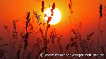 Wetter-Phänomen El Niño: Hunderttausende könnten sterben – Forscher warnen vor