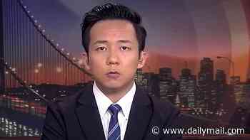 White House defends ICE arrest of former news anchor working for California state legislator: 'This takes sanctuary city to a whole new level'