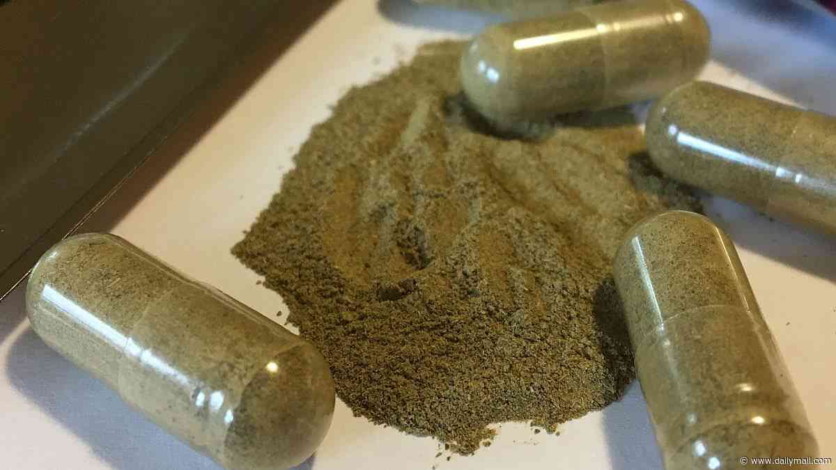 What kratom does to the body... as unregulated herb emerges in connection to deaths of Ole Miss students
