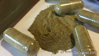 What kratom does to the body... as unregulated herb emerges in connection to deaths of Ole Miss students