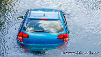 Mother accused of trying to drown her three young children by driving their car into a creek to remain behind bars