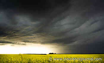 Florida Farm Manager the Latest to Plead Guilty in Crop Insurance Fraud Probe