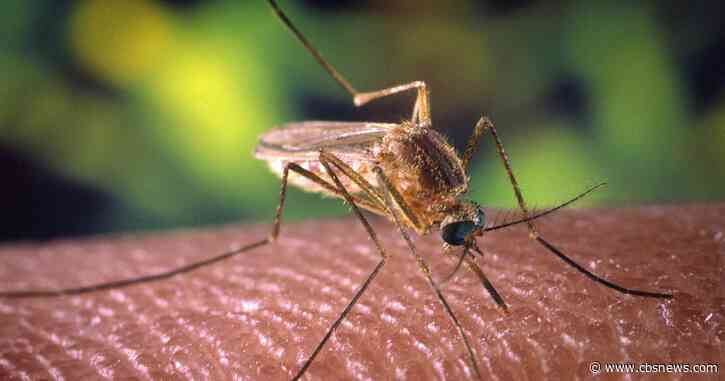 West Nile virus detected in mosquitoes trapped in 4 more DeKalb County locations