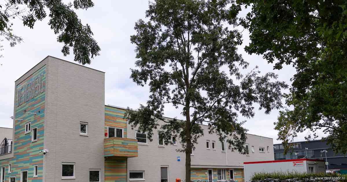 Gemeente weigert kap boom voor opvang daklozen in Zwolle: zijn er in winter genoeg slaapplekken?