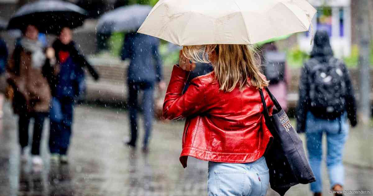 Ministerie had extreme droogte niet zien aankomen, crisisteam: natte herfst en winter nodig tegen problemen