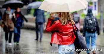 Ministerie had extreme droogte niet zien aankomen, crisisteam: natte herfst en winter nodig tegen problemen