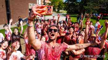 Niagara College, Brock University students embrace annual grape-stomping traditions