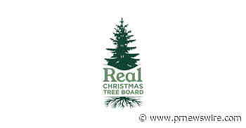 Survey: Real Christmas Tree Growers Forecast Strong Supply and Steady Wholesale Prices for 2026 Holiday Season
