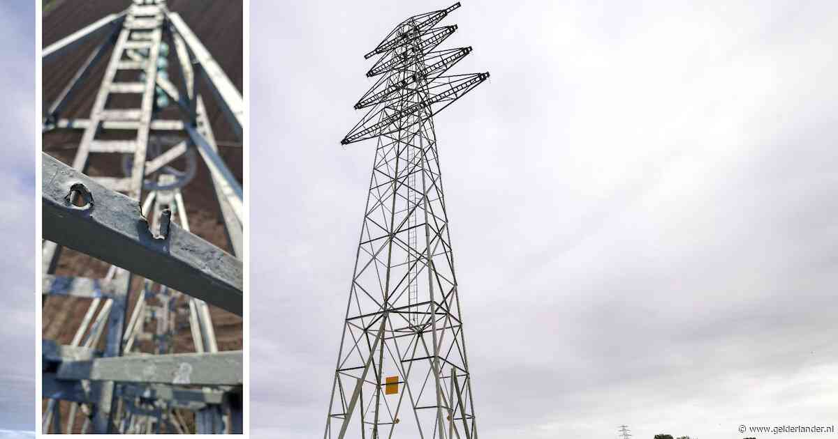 Waarom deze verlaten mast in de Betuwe niet tegen de vlakte gaat, maar juist een tweede leven krijgt