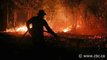 El Niño-driven heat could cause half a million extra deaths, report says. Here's where