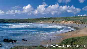 Father and son swept out to sea by rip current at Pembrokeshire beach