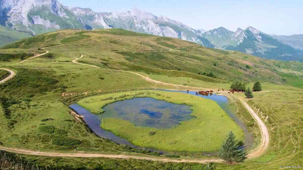 Heftige Dürre-Krise in Frankreich: Pyrenäen-Dorf ohne Trinkwasser – „Das hat es noch nie gegeben“