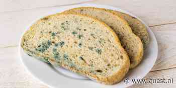 Moet je het hele brood weggooien als er schimmel op één sneetje zit?