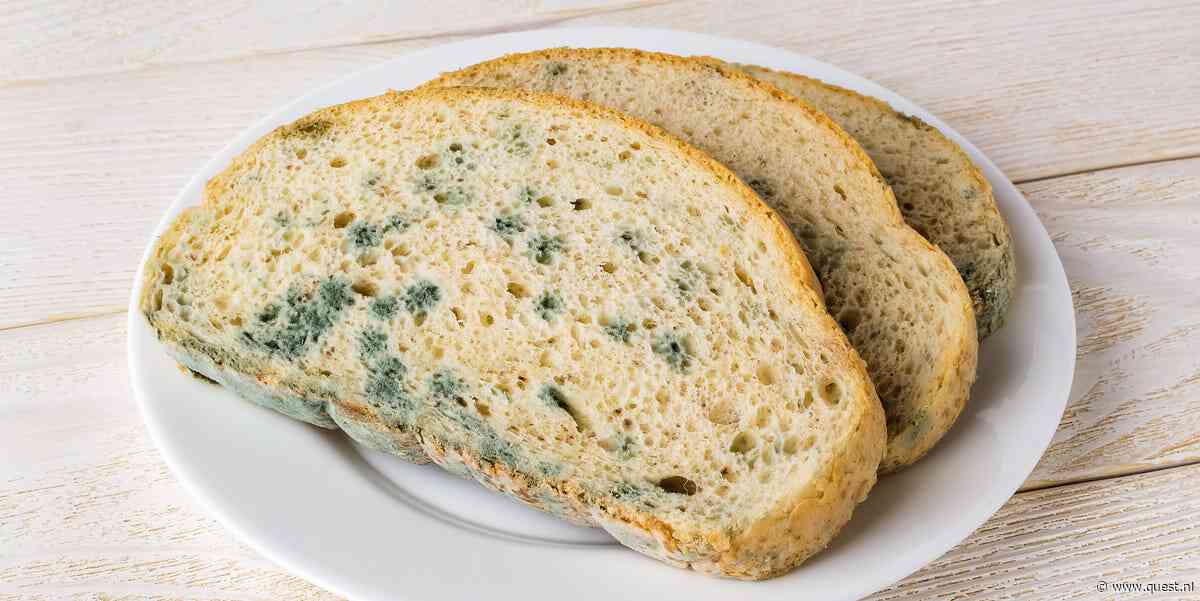 Moet je het hele brood weggooien als er schimmel op één sneetje zit?