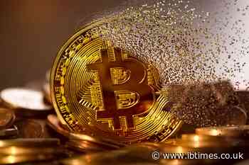 Bitcoin Quietly Plants a Flag in an Unexpected South American Nation Suriname as Oil Money Starts To Flow