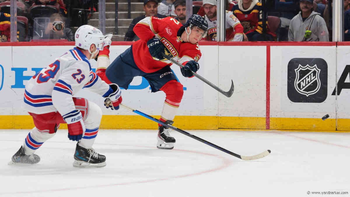 Detroit Red Wings Place A Forward & Defenseman on Waivers
