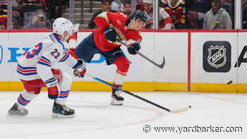 Detroit Red Wings Place A Forward & Defenseman on Waivers