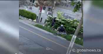 Police watchdog clears officer who tackled Toronto cyclist after ignoring stop sign