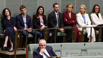 Joyce names price of One Nation backing Angus Taylor