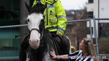 Tributes to 'firm favourite' police horse who helped protect North East