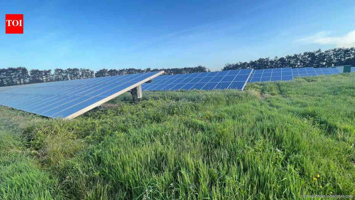 Solar farms with taller grass and wildflowers support more birds, study finds