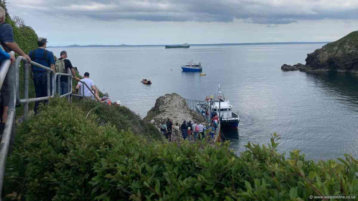 Wales plans new law to protect seals from being disturbed