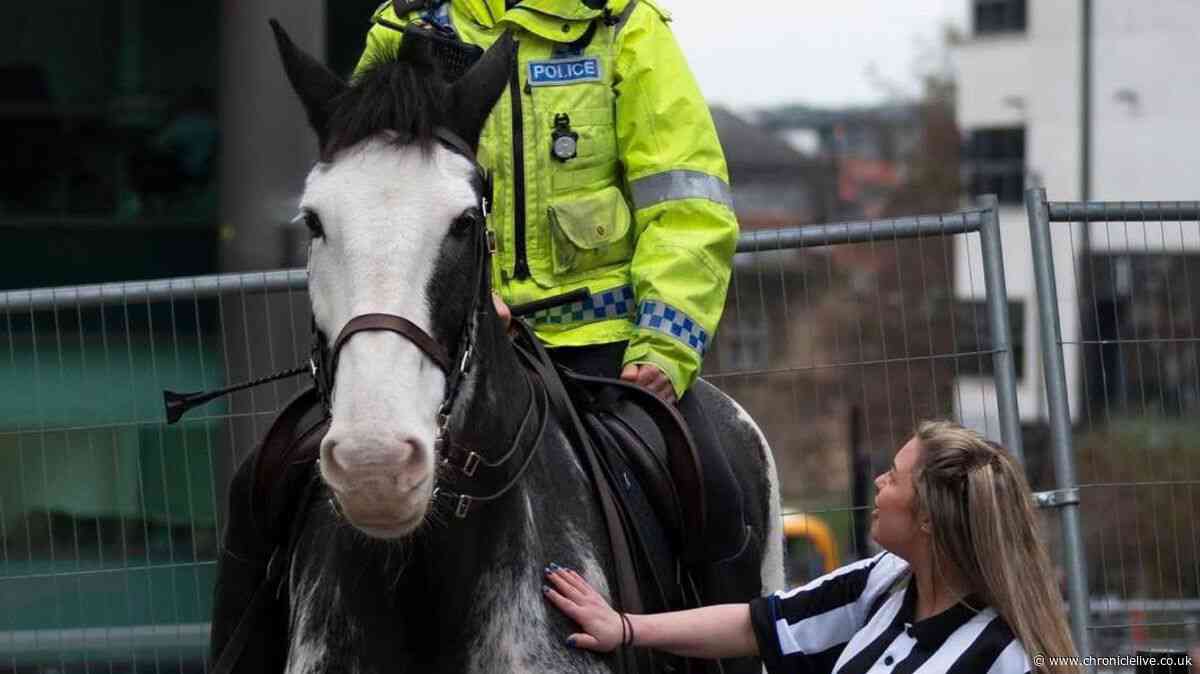Tributes to 'firm favourite' police horse who helped protect North East
