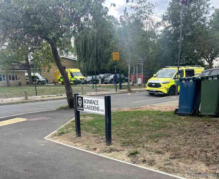 Pupil expected to make full recovery after air ambulance called to Hatch End High School