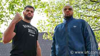 Fight By Fight Preview | Zuffa Boxing 11