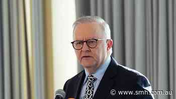Open AI breaches Medicare, Albanese reveals
