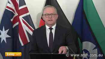 OpenAI agent breached Medicare, Albanese reveals