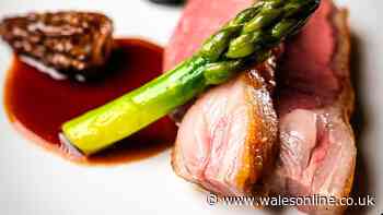 Tiny Cardiff restaurant achieves massive honours from Michelin and AA within months of opening