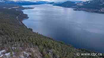 Paddleboarder missing on Okanagan Lake after summer marked by drownings