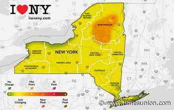 Where fall’s colors are blazing for the week of Sept. 23-29